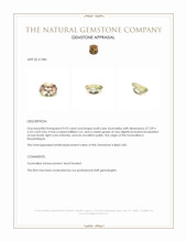 0.93 Ct. Tourmaline from Mozambique Appraisal