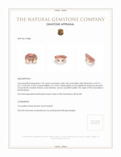 1.49 Ct. Tourmaline from Mozambique Appraisal