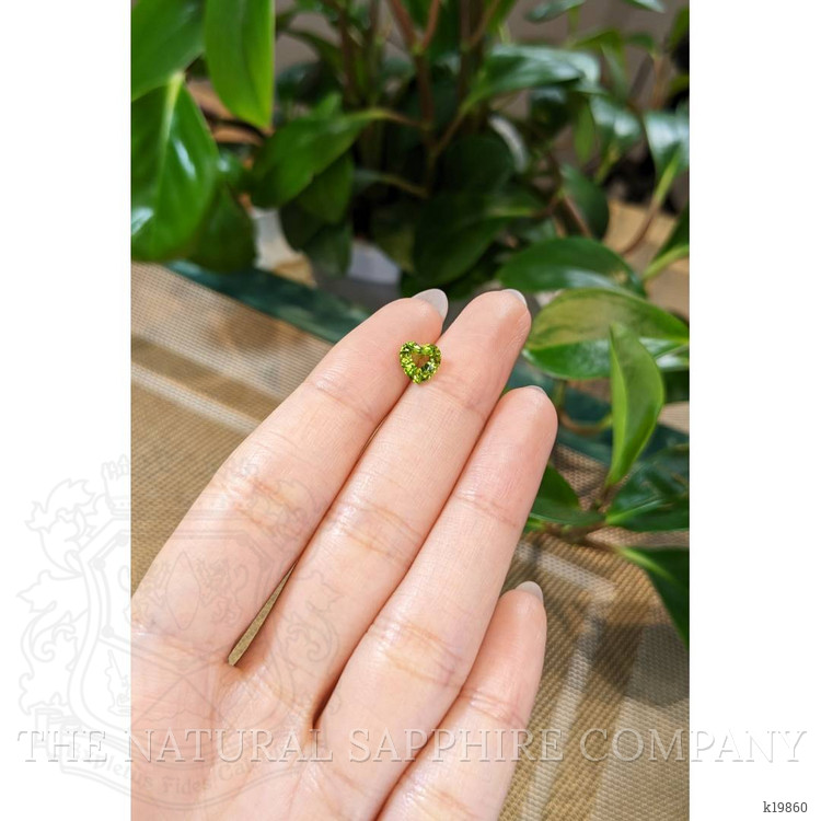 1.53 Ct. Peridot from Pakistan