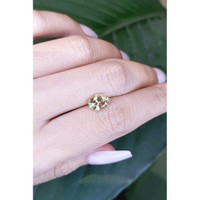 1.68 Ct. Tourmaline from Mozambique Life Style