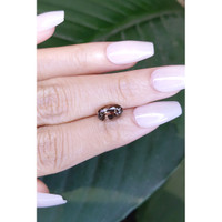 1.85 Ct. Tourmaline from Mozambique Life Style