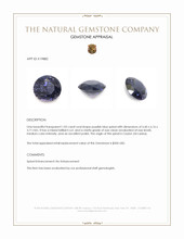 1.02 Ct. Purplish Blue Spinel from Ceylon (Sri Lanka) Appraisal
