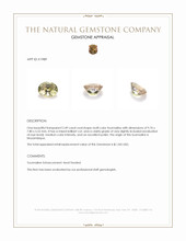 2.49 Ct. Tourmaline from Mozambique Appraisal