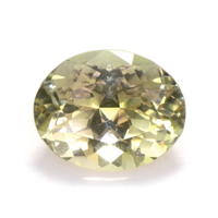 2.49 Ct. Tourmaline from Mozambique Video