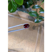 6.89 Ct. Garnet from Tanzania Life Style