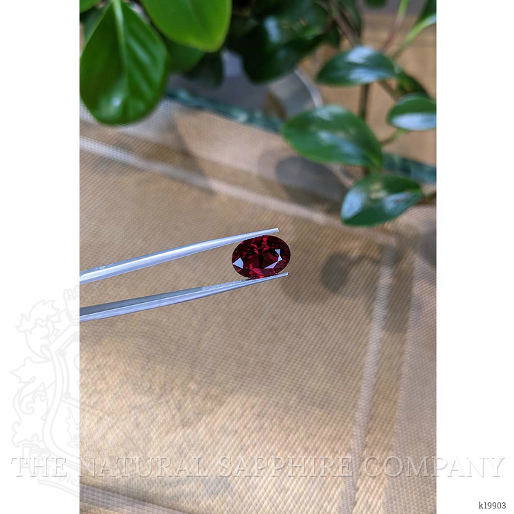 6.89 Ct. Garnet from Tanzania
