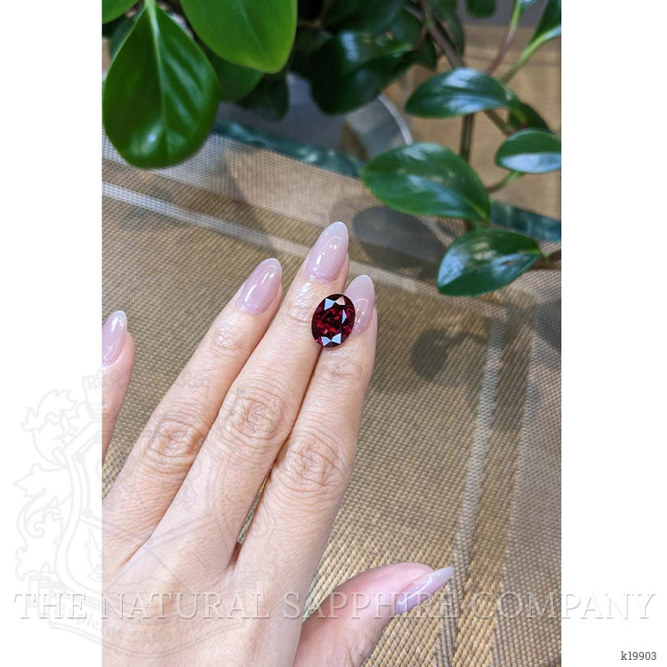 6.89 Ct. Garnet from Tanzania
