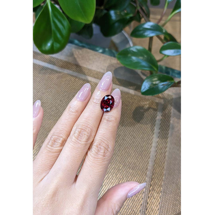 6.89 Ct. Garnet from Tanzania