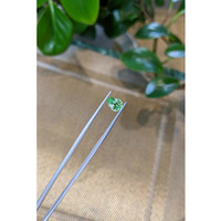 1.85 Ct. Garnet from Tanzania Life Style