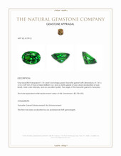 1.10 Ct. Tsavorite Garnet from Tanzania Appraisal