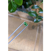 1.68 Ct. Tsavorite Garnet from Tanzania Life Style