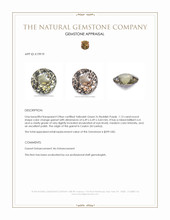 1.13 Ct. Garnet from Ceylon (Sri Lanka) Appraisal