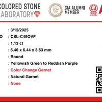 1.13 Ct. Garnet from Ceylon (Sri Lanka) Scan Report