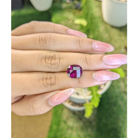 6.22 Ct. Garnet from Ceylon (Sri Lanka) Life Style