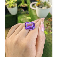 19.59 Ct. Amethyst from Ceylon (Sri Lanka) Life Style