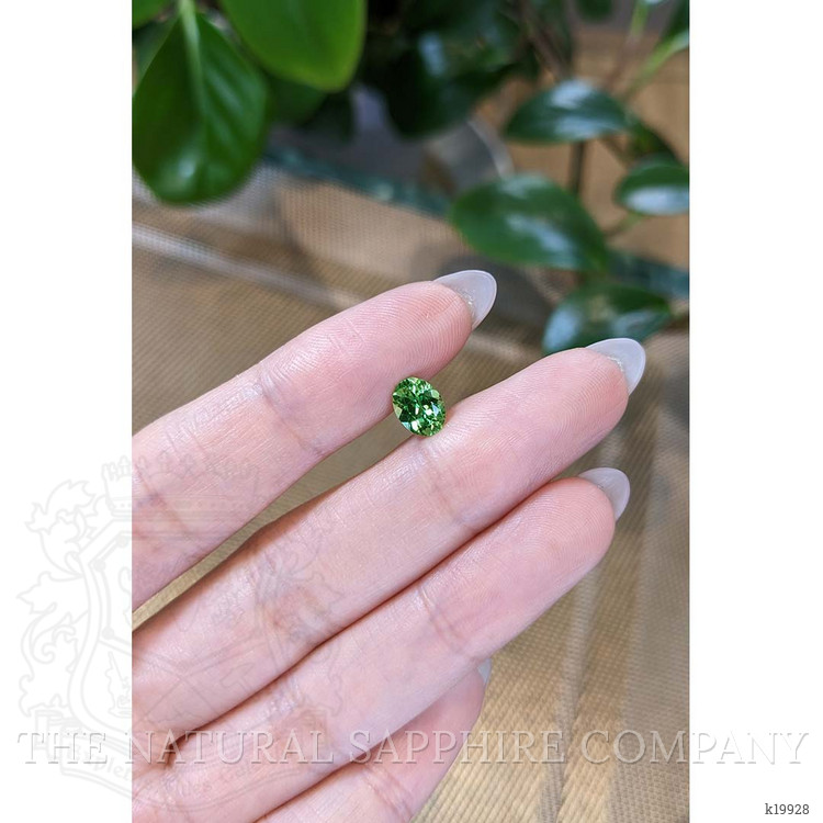 1.25 Ct. Tsavorite Garnet from Tanzania