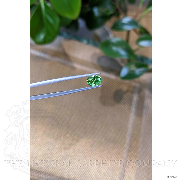 1.25 Ct. Tsavorite Garnet from Tanzania