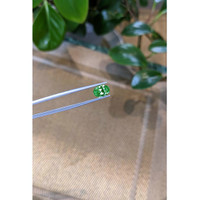 2.44 Ct. Tsavorite Garnet from Tanzania Life Style