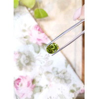 3.76 Ct. Peridot from Burma (Myanmar) Life Style