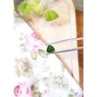 1.65 Ct. Tourmaline from Tanzania Life Style