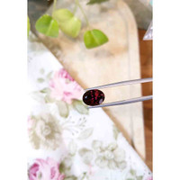 5.05 Ct. Garnet from Tanzania Life Style