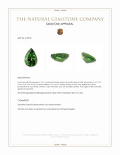1.01 Ct. Tsavorite Garnet from Tanzania Appraisal