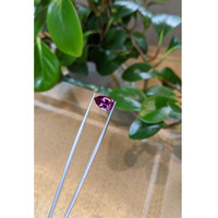 3.16 Ct. Garnet from Ceylon (Sri Lanka) Life Style