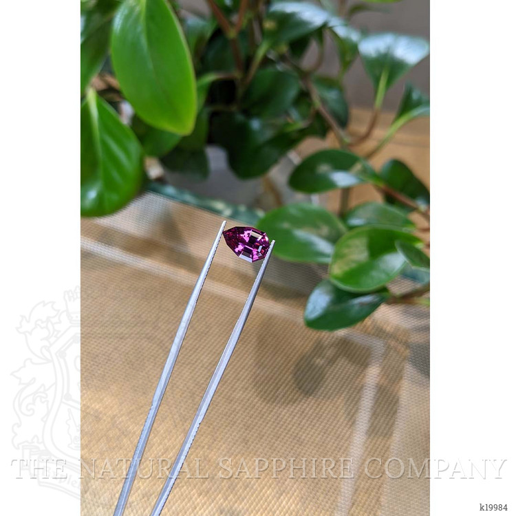 3.16 Ct. Garnet from Ceylon (Sri Lanka)