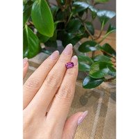 2.73 Ct. Garnet from Ceylon (Sri Lanka) Life Style