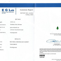 2.02 Ct. Tsavorite Garnet from Tanzania Pdf
