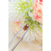 2.25 Ct. Zircon from Ceylon (Sri Lanka) Life Style