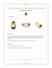 4.87 Ct. Ametrine from Ceylon (Sri Lanka) Appraisal