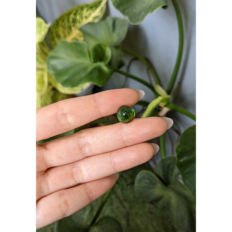 5.05 Ct. Cabochon Tourmaline from Mozambique