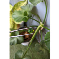 5.05 Ct. Cabochon Tourmaline from Mozambique Life Style