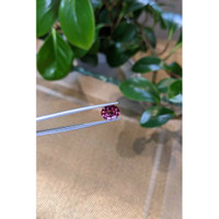 2.66 Ct. Tourmaline from Mozambique Life Style