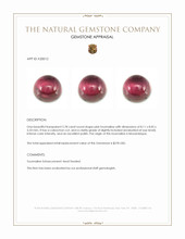 2.78 Ct. Cabochon Tourmaline from Mozambique Appraisal