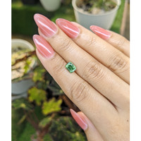 1.53 Ct. Tourmaline from Madagascar Life Style