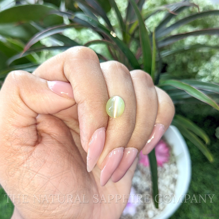 4.40 Ct. Cabochon Chrysoberyl from Ceylon (Sri Lanka)