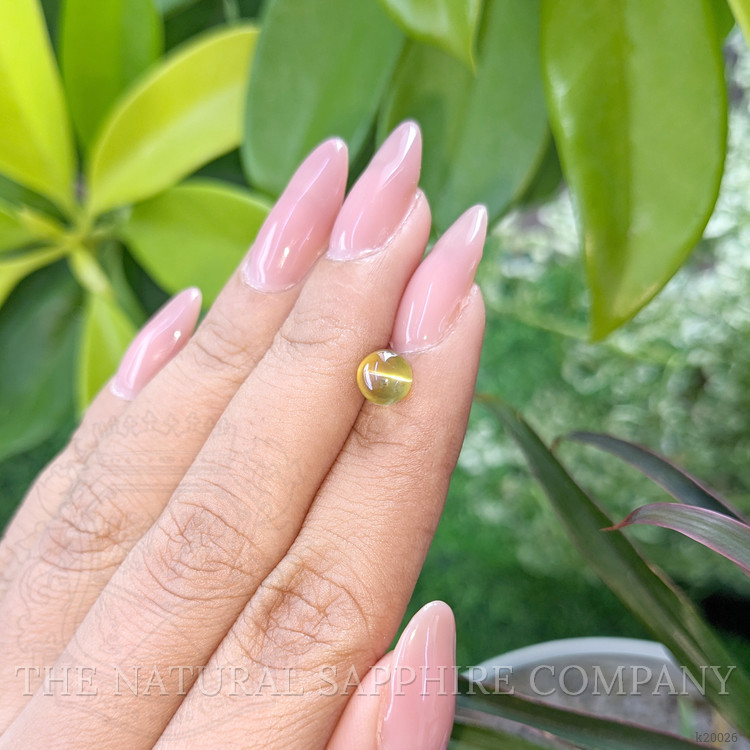 1.72 Ct. Cabochon Chrysoberyl from Ceylon (Sri Lanka)