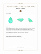 0.62 Ct. Paraiba Tourmaline from Brazil Appraisal
