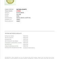 93.56 Ct. Citrine from Brazil Scan Report