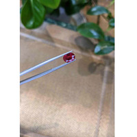 1.76 Ct. Rubellite Tourmaline from Brazil Life Style