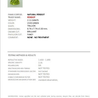 Jewelry Scan Report