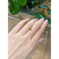 1.72 Ct. Zircon from Ceylon (Sri Lanka) Life Style