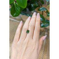 2.04 Ct. Tourmaline from Mozambique Life Style