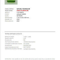 1.41 Ct. Tourmaline from Mozambique Scan Report