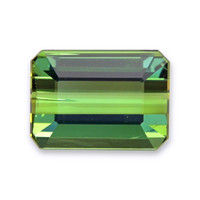 1.41 Ct. Tourmaline from Mozambique Video