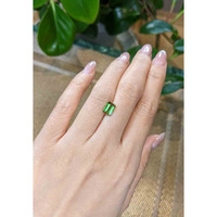 1.41 Ct. Tourmaline from Mozambique Life Style