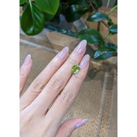 3.06 Ct. Tourmaline from Mozambique Life Style