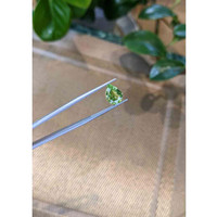 3.06 Ct. Tourmaline from Mozambique Life Style